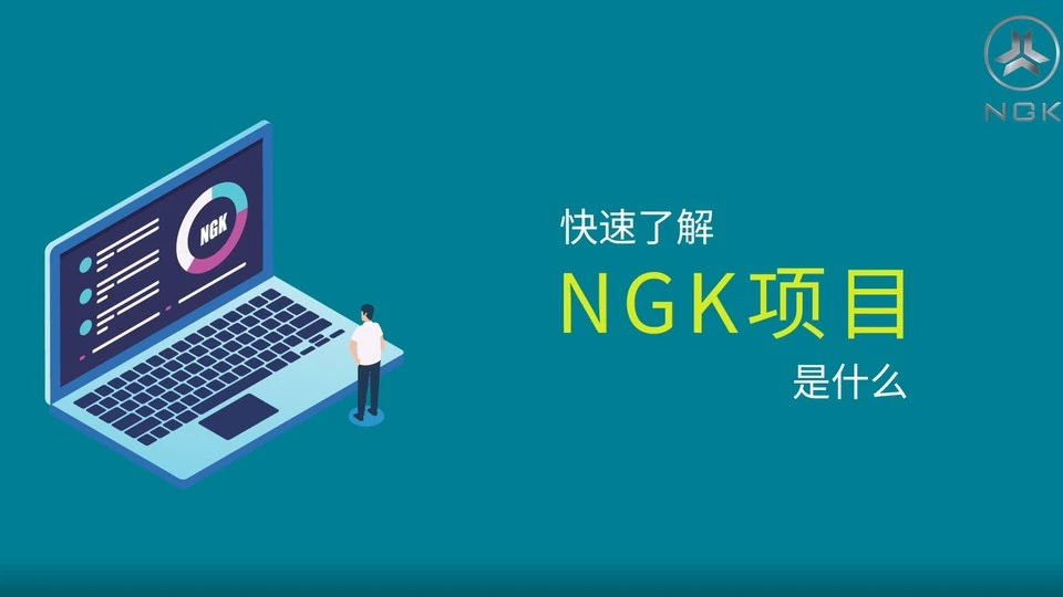 快速了解NGK项目是什么？